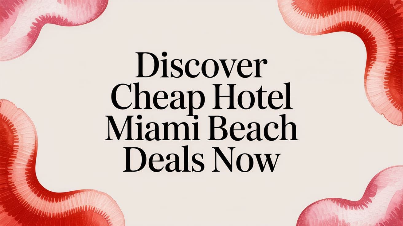 Your Smarter Guide to Cheap Hotels in Miami Beach